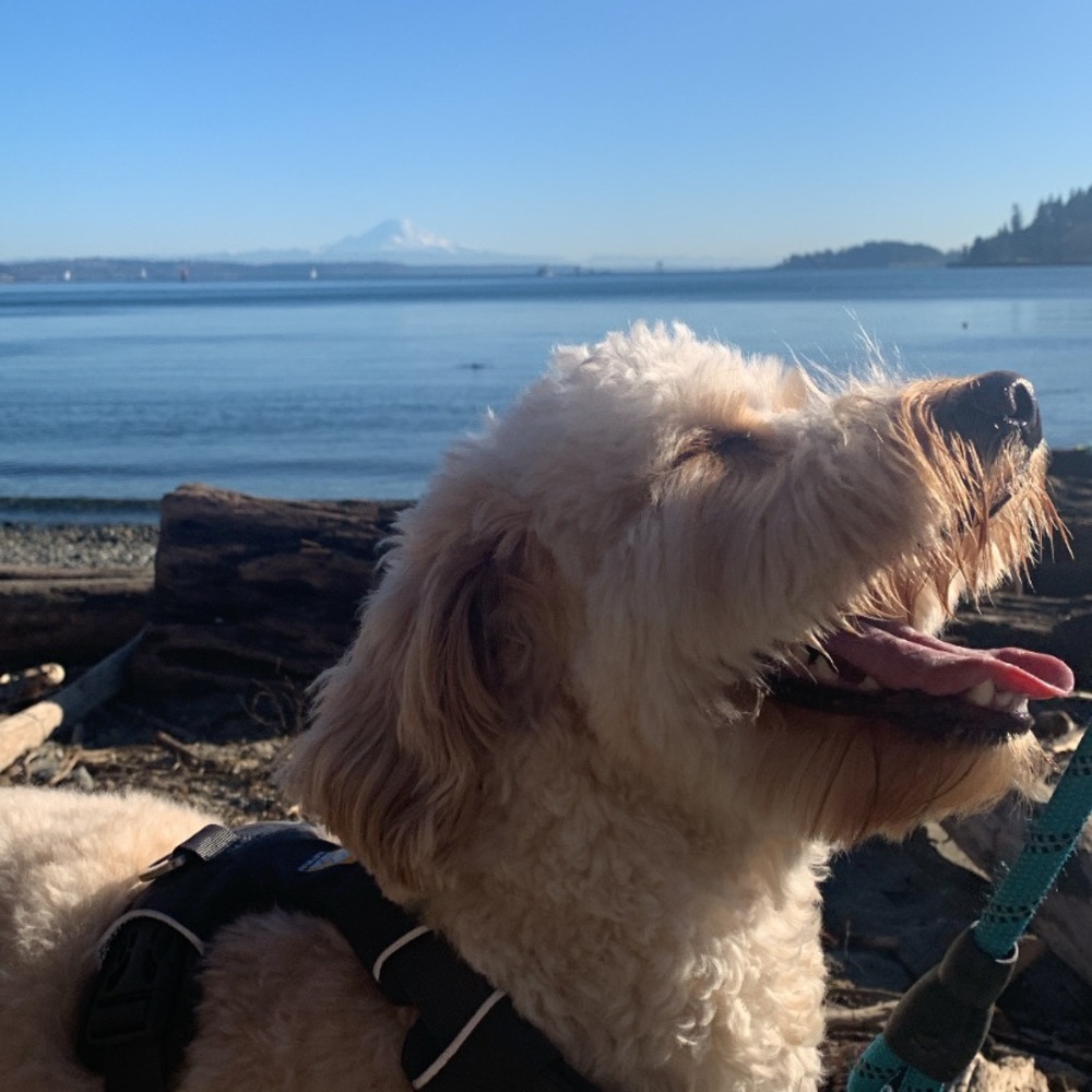 Meet your Posher, Alysa